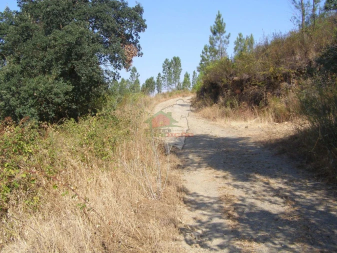 Terreno para Venda em Sertã Foto 2