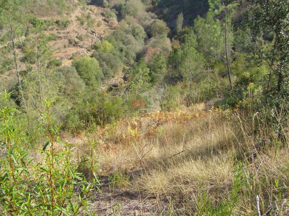 Terreno para Venda em Sertã Foto 4