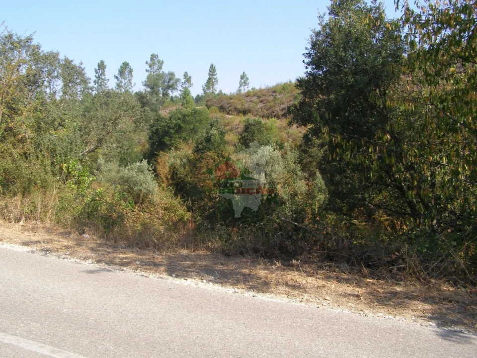 Terreno para Venda em Sertã Foto 8
