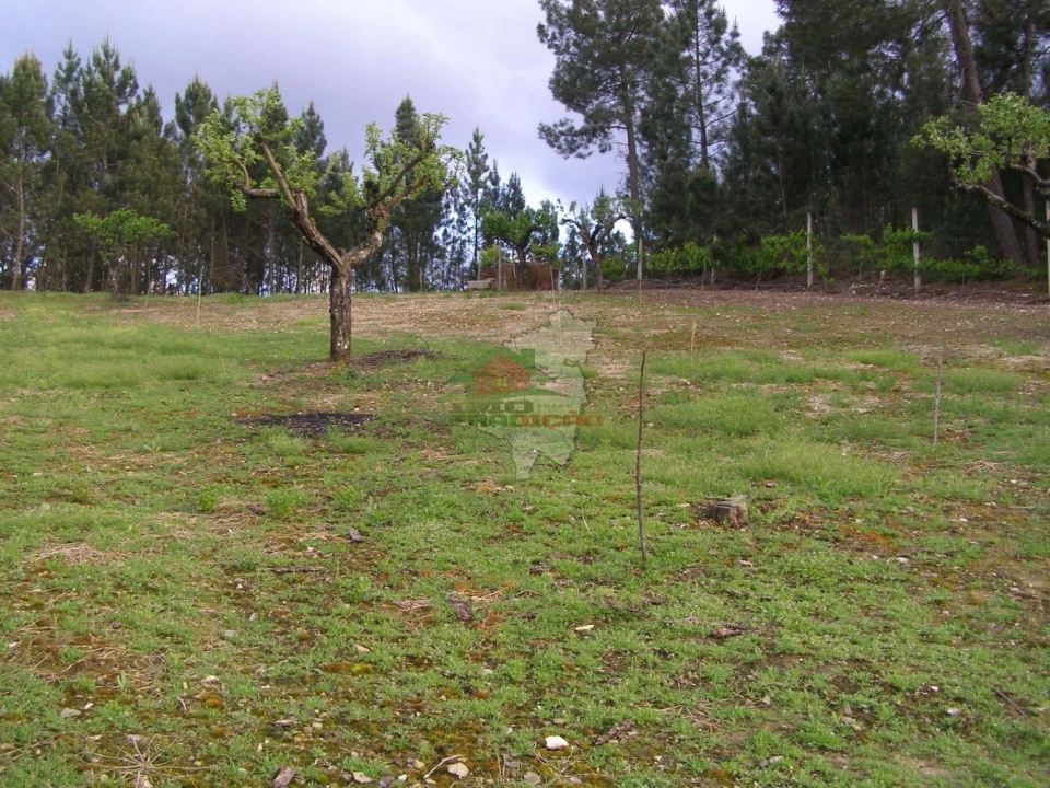 Terreno para Venda em Varzea dos Cavaleiros Foto 6
