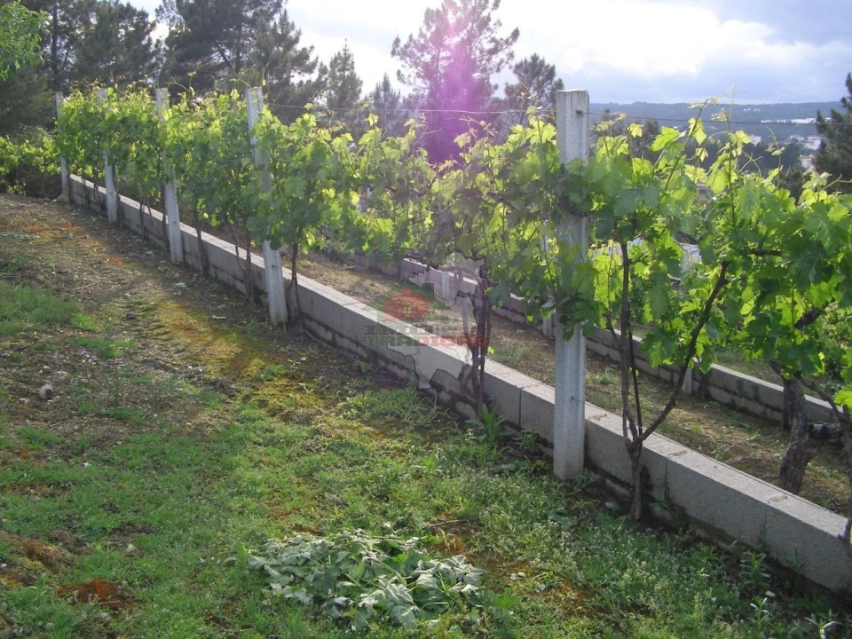 Terreno para Venda em Varzea dos Cavaleiros Foto 7