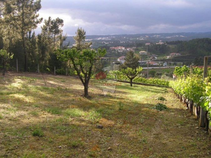 Terreno para Venda em Varzea dos Cavaleiros Foto 1