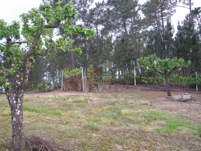 Terreno para Venda em Varzea dos Cavaleiros Foto 5