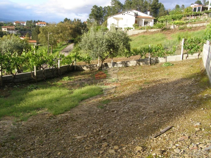 Terreno para Venda em Varzea dos Cavaleiros Foto 2