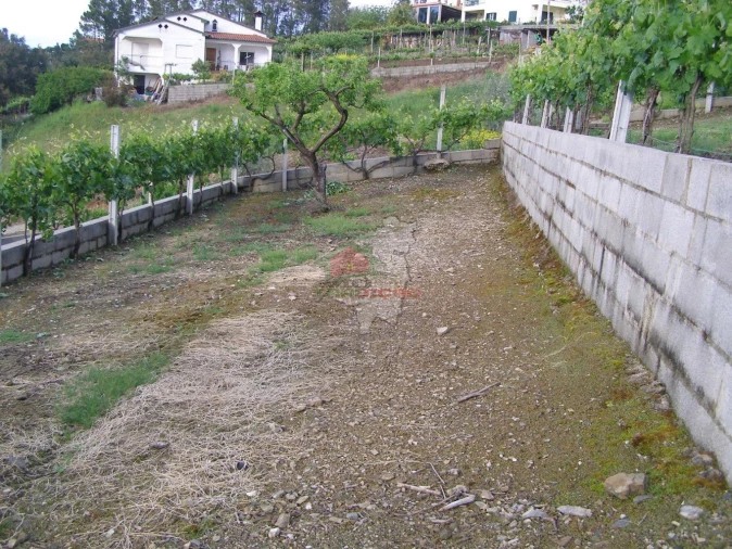 Terreno para Venda em Varzea dos Cavaleiros Foto 8