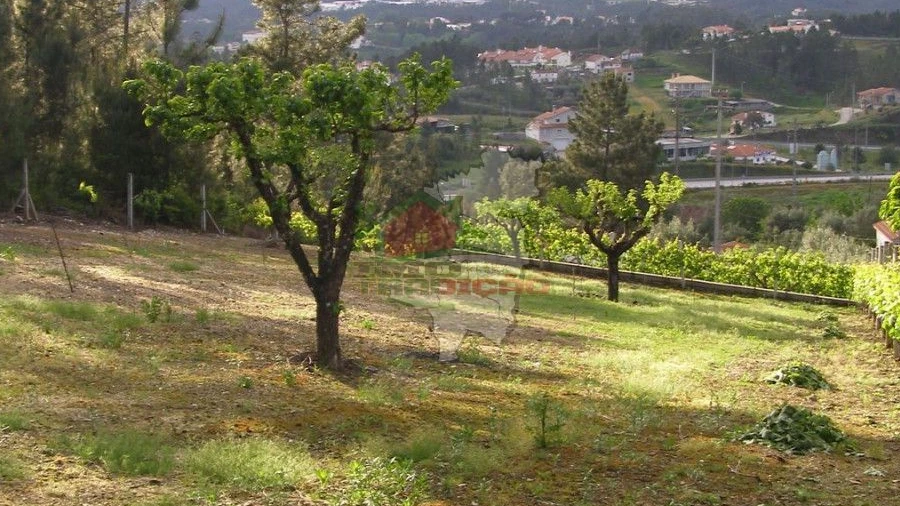 Terreno para Venda em Varzea dos Cavaleiros
