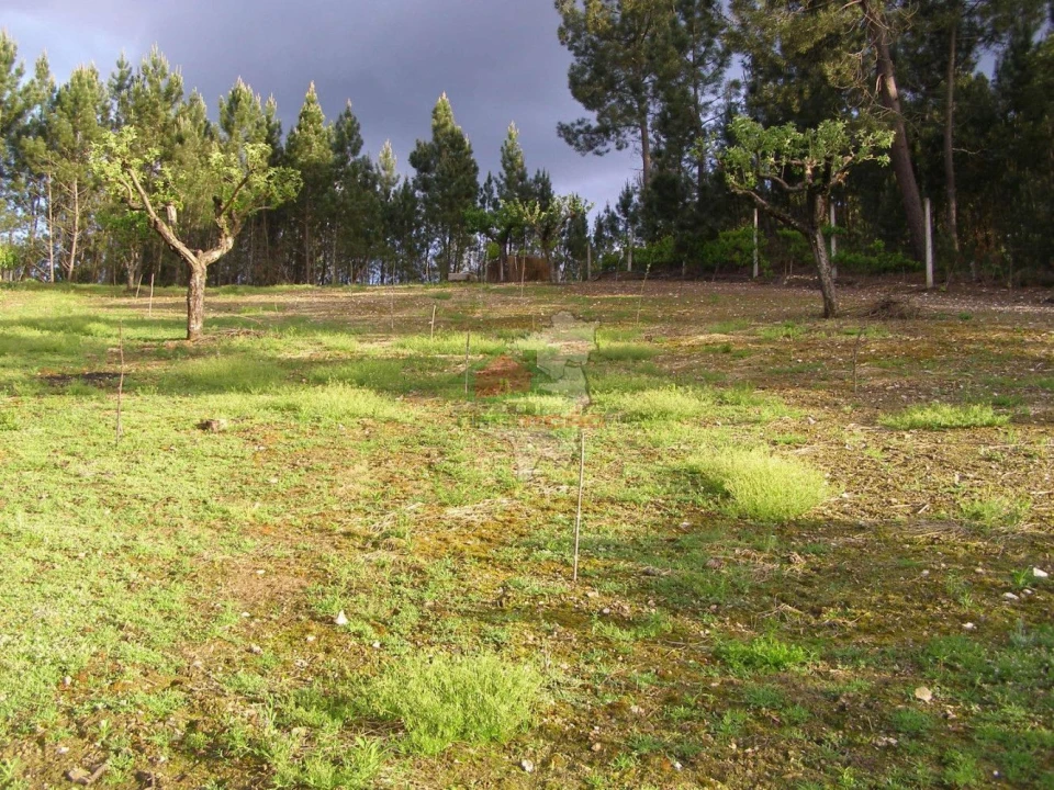 Terreno para Venda em Varzea dos Cavaleiros Foto 3