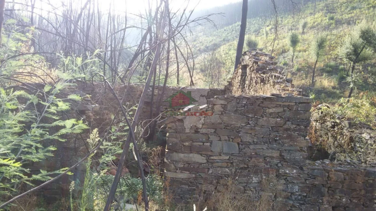 Terreno para Venda em Troviscal Foto 11