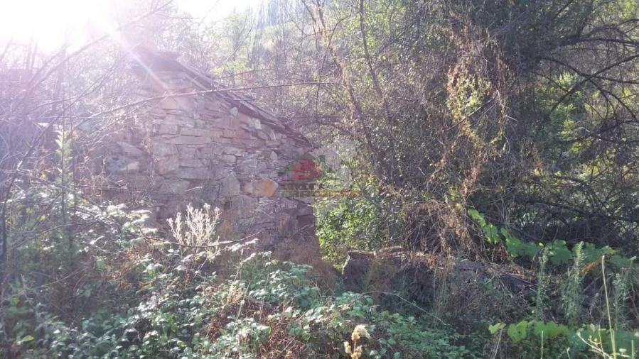 Terreno para Venda em Troviscal Foto 10