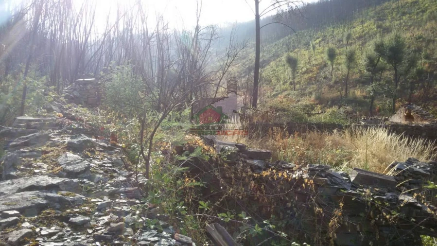 Terreno para Venda em Troviscal Foto 13