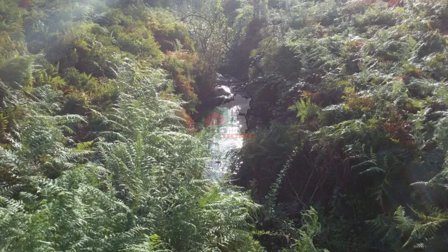 Terreno para Venda em Troviscal Foto 18