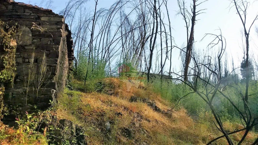 Terreno para Venda em Troviscal Foto 4