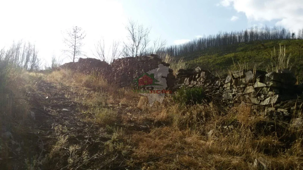 Terreno para Venda em Troviscal Foto 17