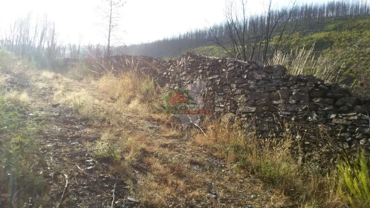 Terreno para Venda em Troviscal Foto 9