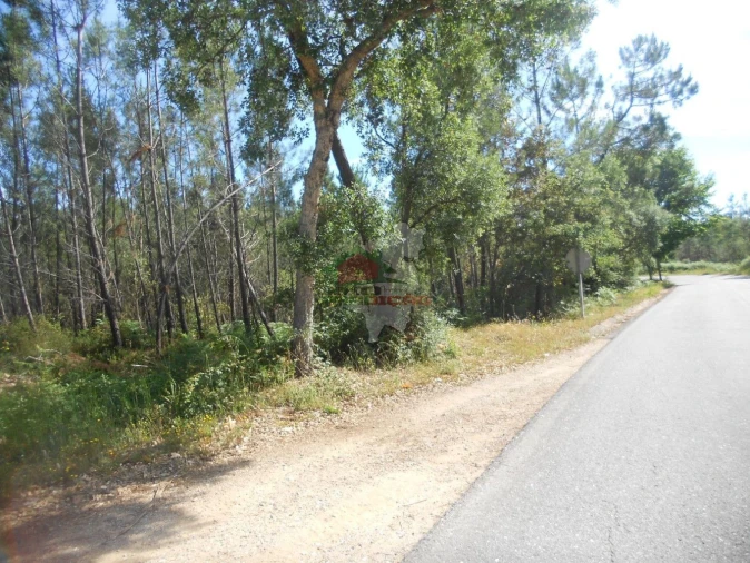 Terreno para Venda em Castelo Foto 1