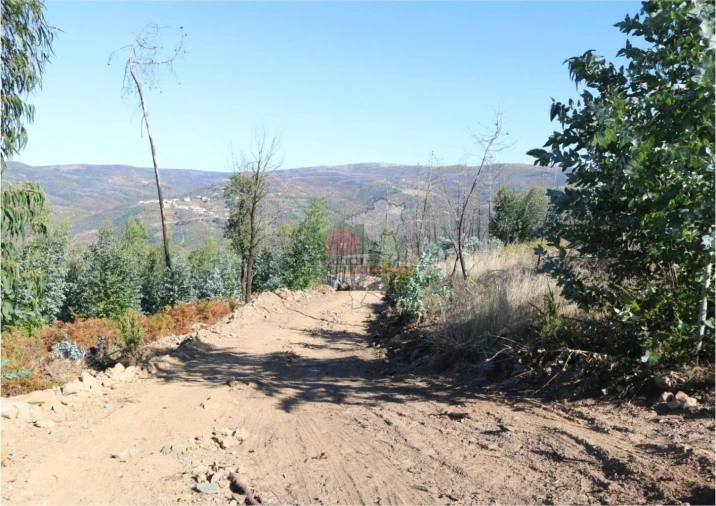 Terreno para Venda em Madeirã Foto 10