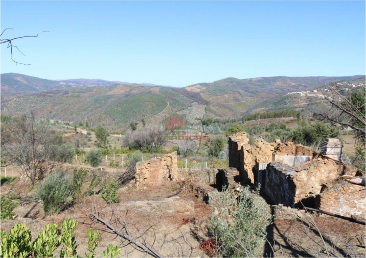 Terreno para Venda em Madeirã