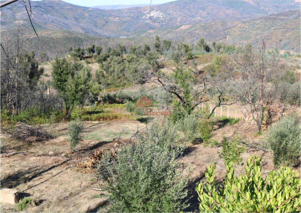 Terreno para Venda em Madeirã Foto 19