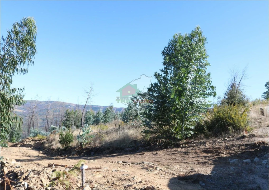 Terreno para Venda em Madeirã Foto 16