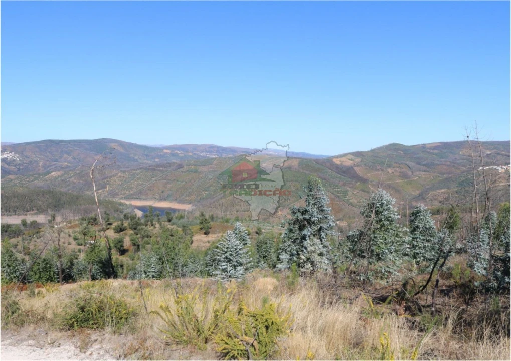 Terreno para Venda em Madeirã Foto 15