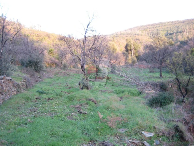 Terreno para Venda em Ermida e Figueiredo Foto 7