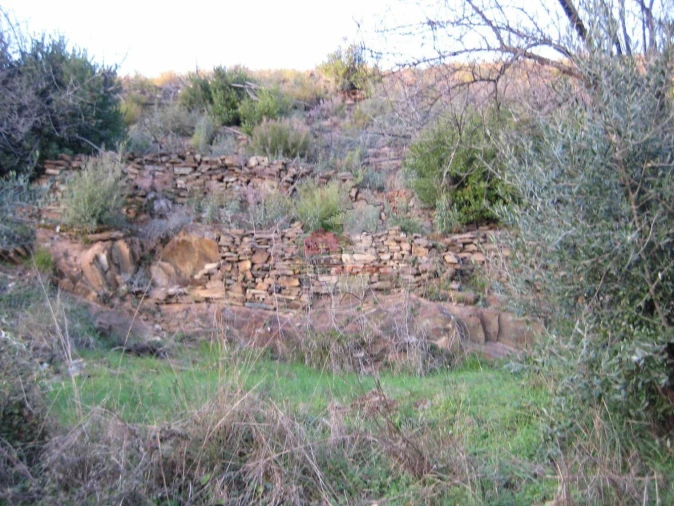 Terreno para Venda em Ermida e Figueiredo Foto 14