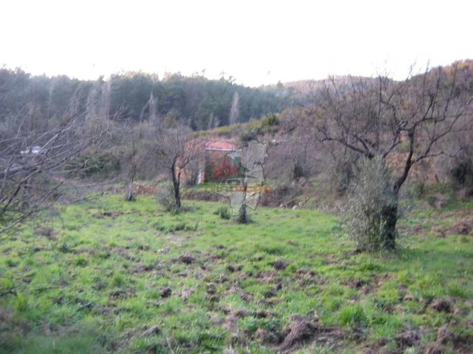Terreno para Venda em Ermida e Figueiredo Foto 16