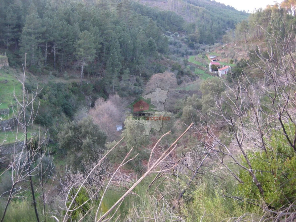 Terreno para Venda em Ermida e Figueiredo Foto 25