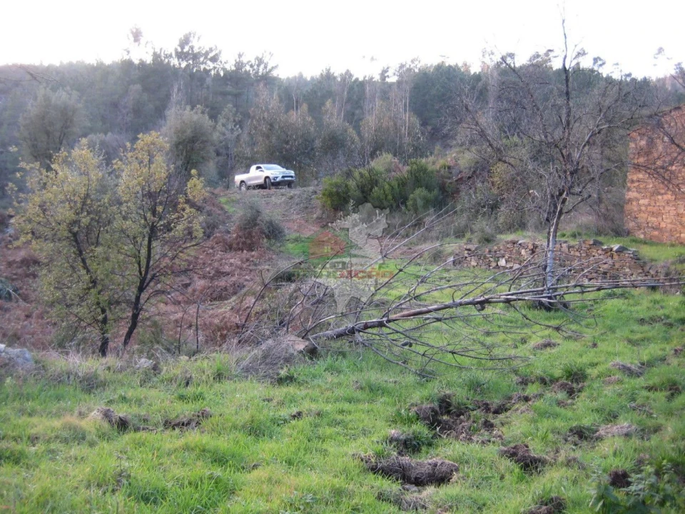 Terreno para Venda em Ermida e Figueiredo Foto 18