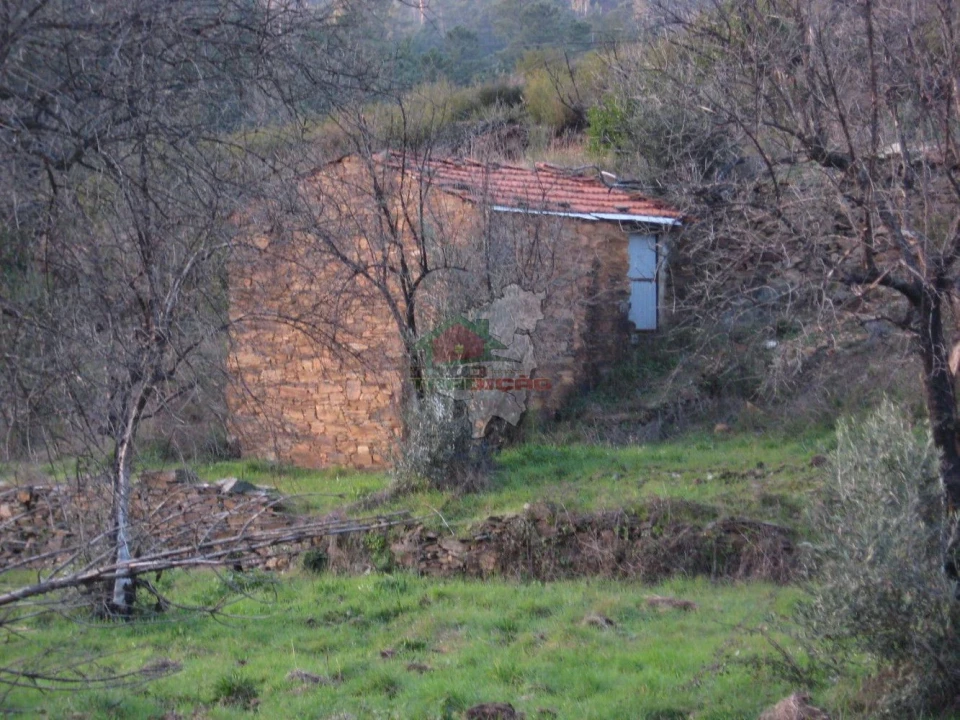 Terreno para Venda em Ermida e Figueiredo Foto 2