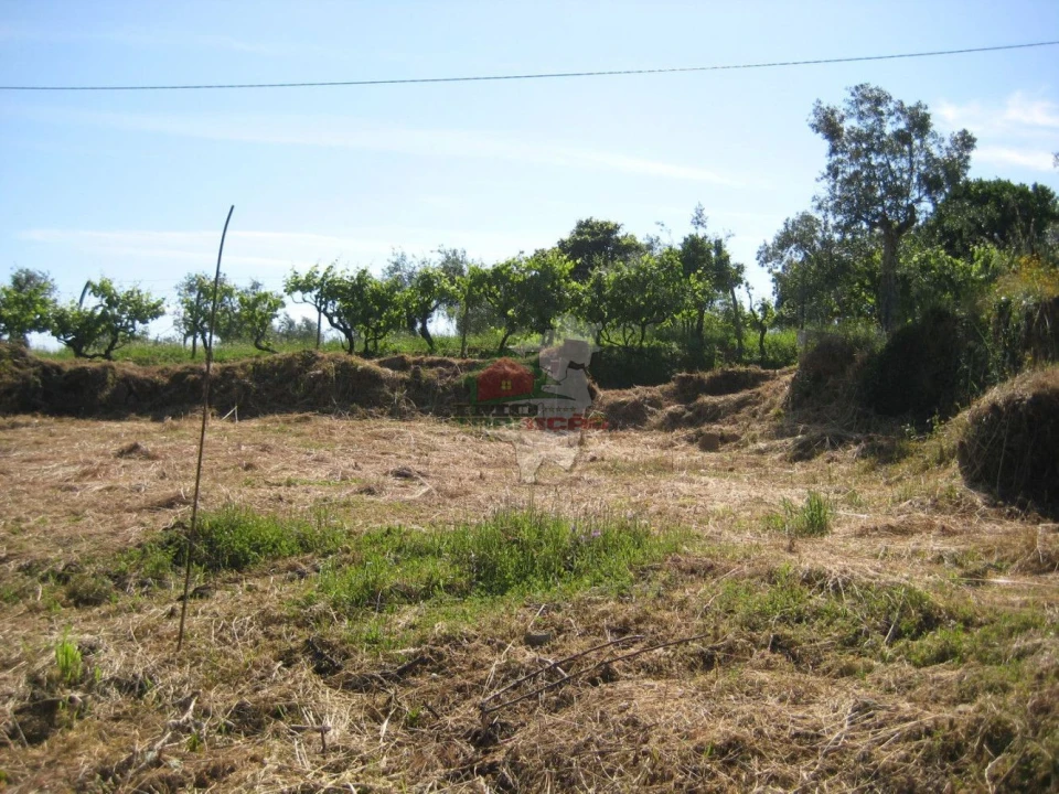 Terreno para Venda em Cabeçudo Foto 9