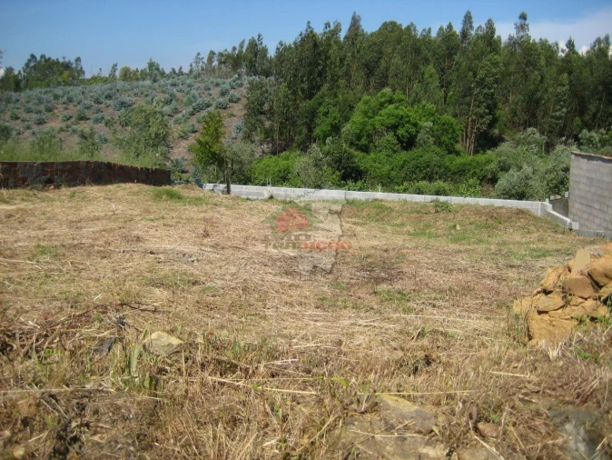 Terreno para Venda em Cabeçudo Foto 1