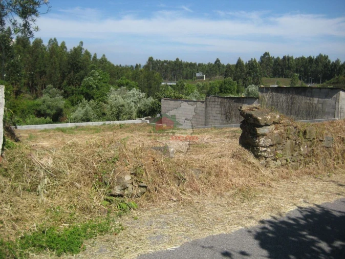 Terreno para Venda em Cabeçudo Foto 14
