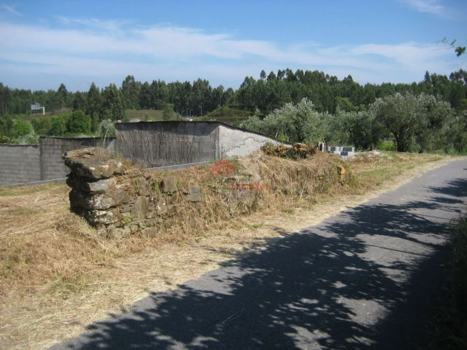 Terreno para Venda em Cabeçudo Foto 15