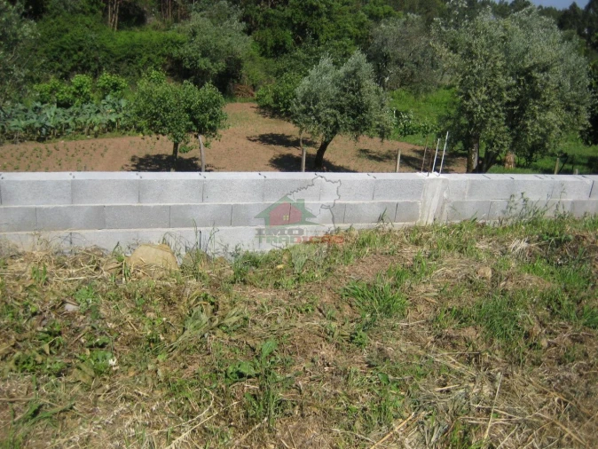 Terreno para Venda em Cabeçudo Foto 4