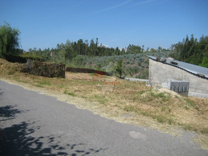 Terreno para Venda em Cabeçudo Foto 16