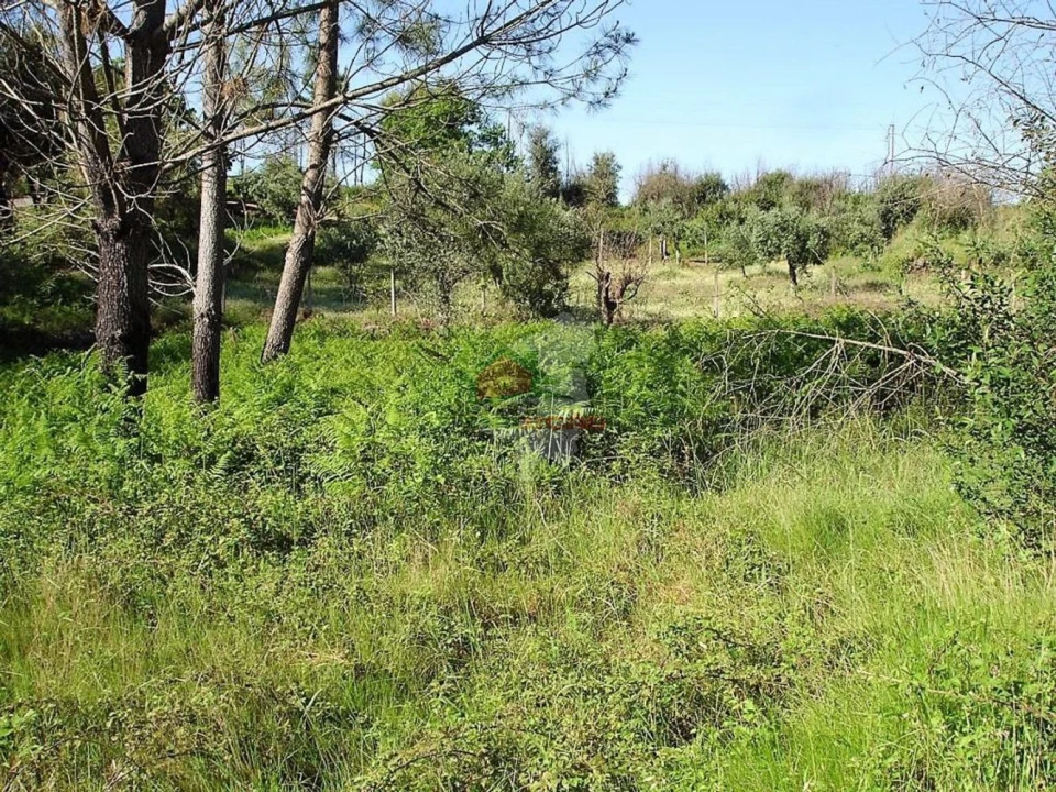 Moradia T1 para Venda em Castelo Foto 14