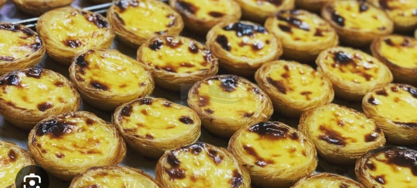 Negócio para Venda em Mina de Água Foto 2