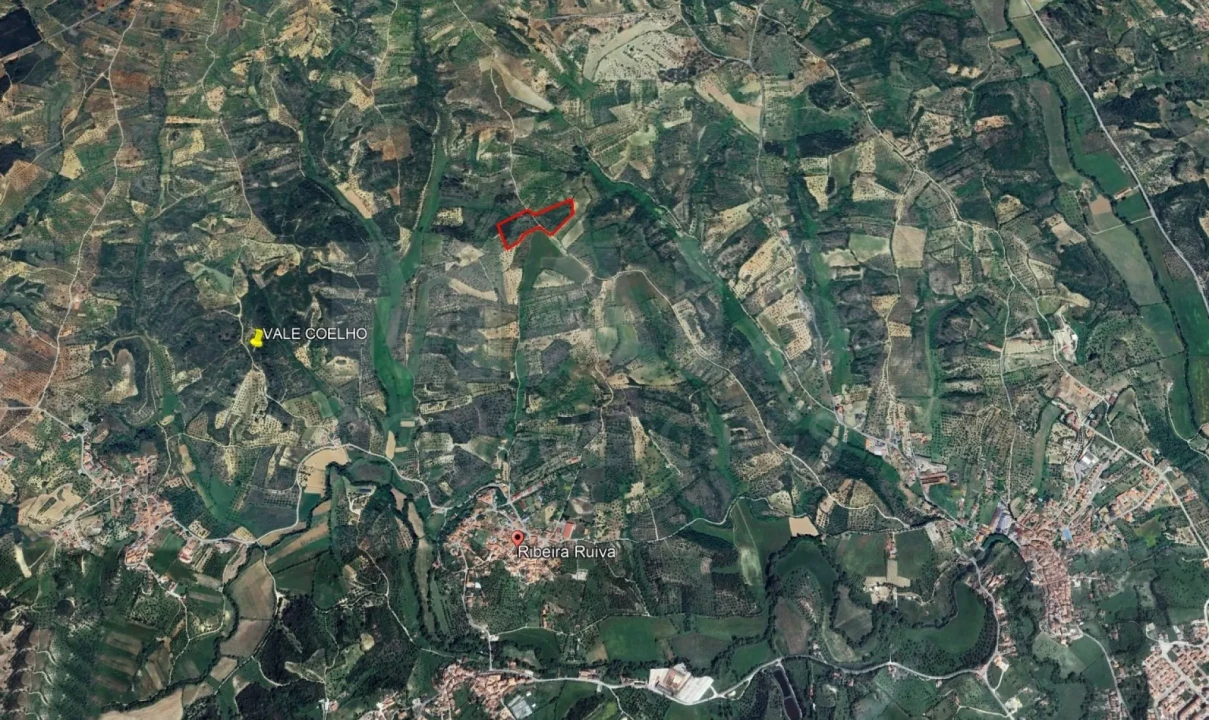 Terreno para Venda em Pedrogão Foto 5