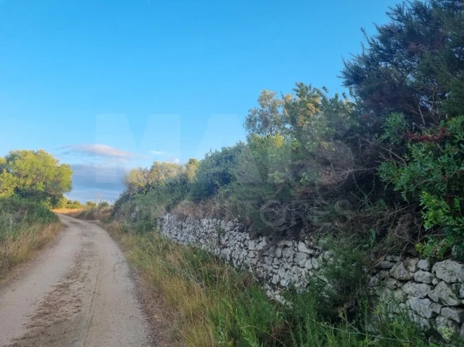 Terreno para Venda em Pedrogão Foto 3