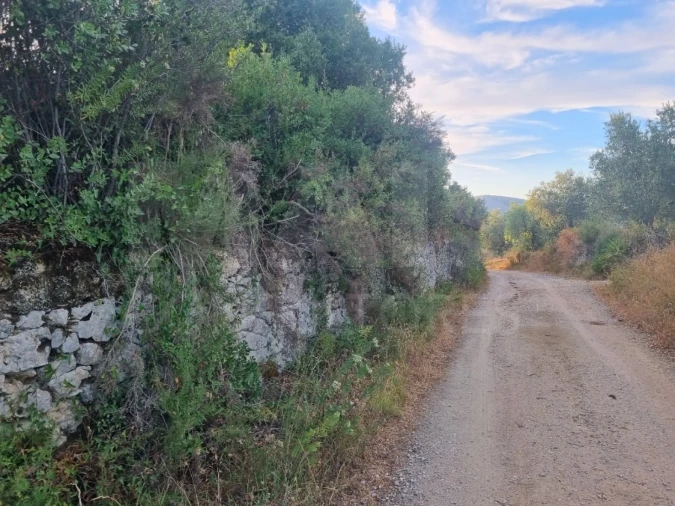 Terreno para Venda em Pedrogão