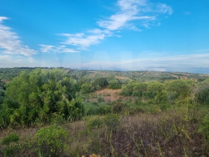 Terreno para Venda em Pedrogão Foto 2