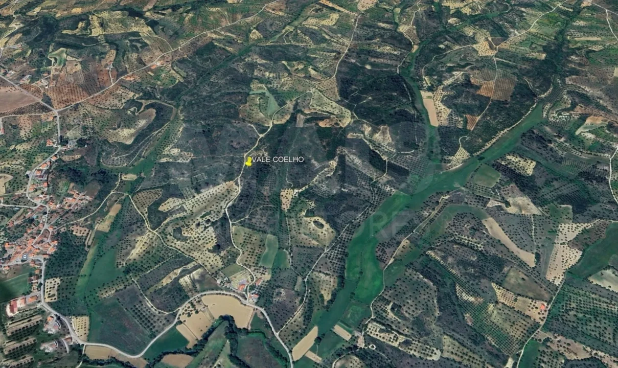 Terreno para Venda em Torres Novas (São Pedro), Lapas e Ribeira Branca Foto 2