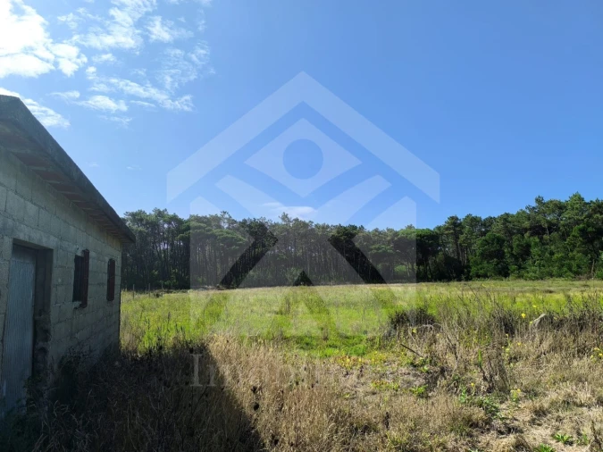 Terreno Agricola ou Rústico para Venda em Apúlia e Fão Foto 2