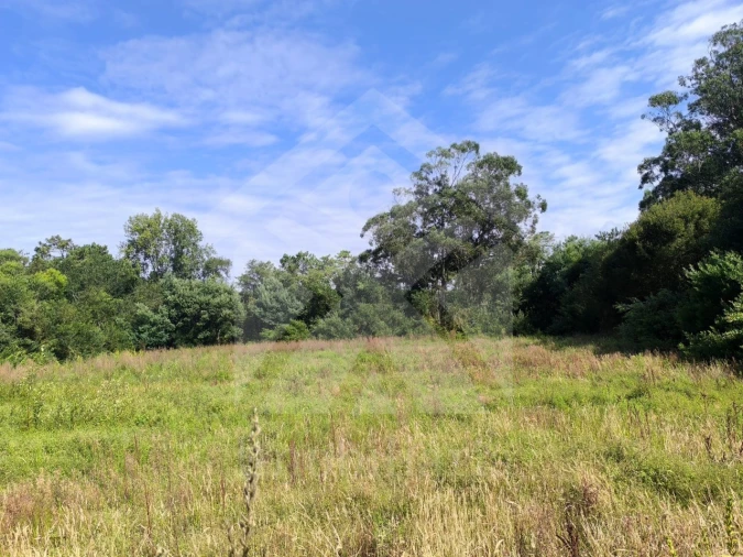 Terreno Agricola ou Rústico para Venda em Apúlia e Fão Foto 3