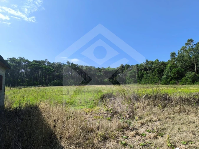 Terreno Agricola ou Rústico para Venda em Apúlia e Fão Foto 8