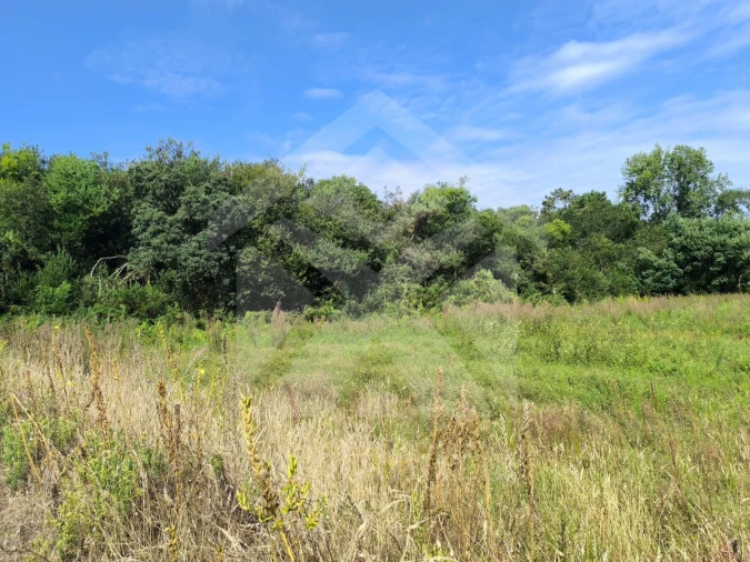 Terreno Agricola ou Rústico para Venda em Apúlia e Fão Foto 9