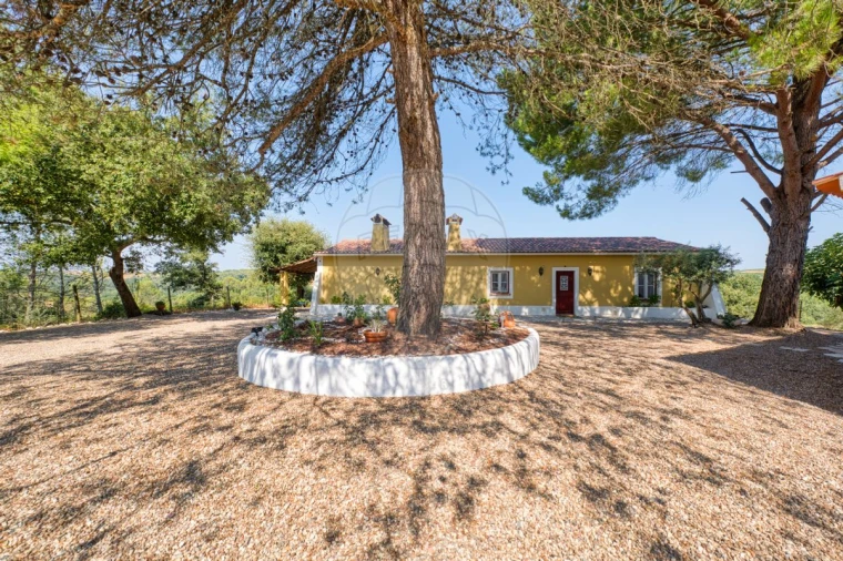 Moradia T3 para Venda em Romeira e Várzea Foto 9