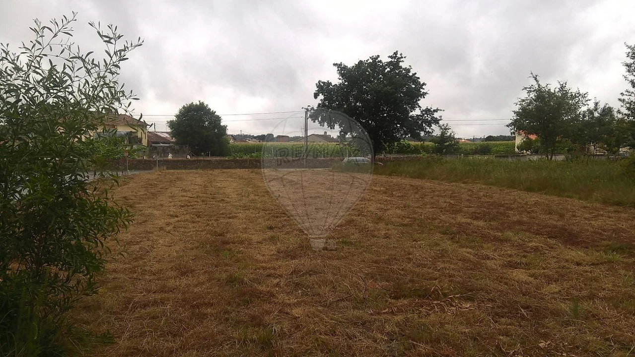 Armazém para Venda em Loureiro Foto 10