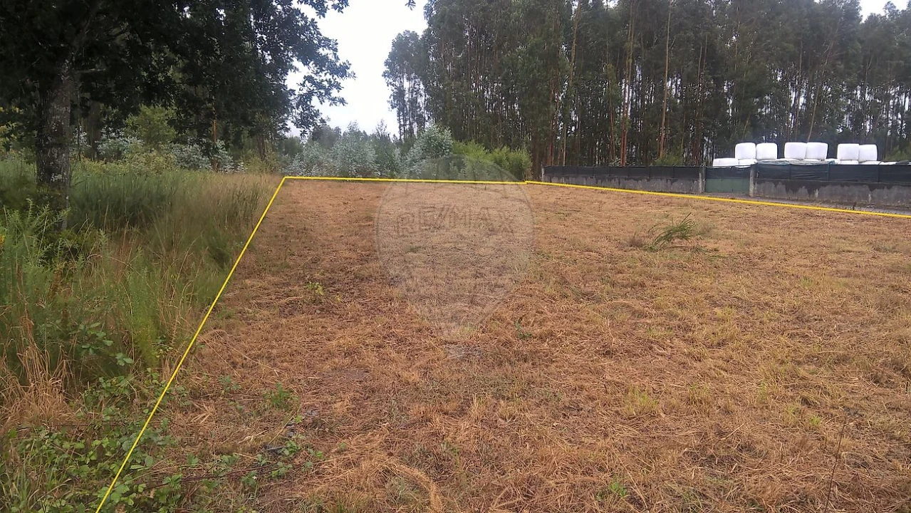 Armazém para Venda em Loureiro Foto 2